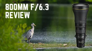 Nikon 800mm f/6.3 VR on the Z 9 - FIELD TEST