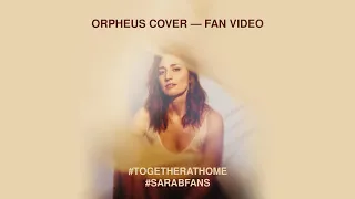 Sara Bareilles Fans - Orpheus Cover - Fan video