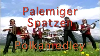 Palemiger Spatzen - PolkaParty