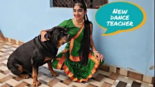 My dog need attention  | oggy jerry ki dosti | funny dog videos