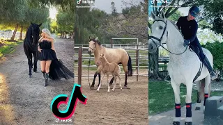 The Cutest HORSES TikTok Compilation 2022 #19