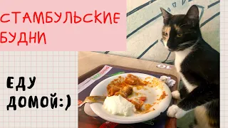 Стамбул / Немного о моих делах / Бегаю, готовлюсь к отъезду домой🥰