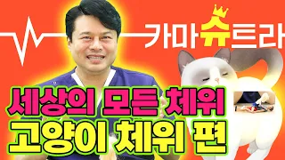 [EP.87] 여자들이 가장 좋아하는 체위는 뭘까옹? 🐈｜카마슈트라 7편