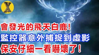 會發光的飛天白鹿，監控器意外拍下瞬間，保安倒放仔細一看，嚇壞了！ 【監控詭影·二】【X檔案】