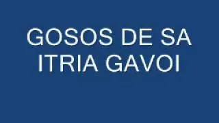 GOSOS DE SA ITRIA GAVOI.wmv