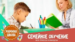 Семейное обучение: итоги 2-х лет без школы