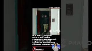 ФСБ  во Владимирской области арестовали сторонника проукраинской националистической идеологии, прича