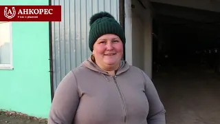 Як підняти молочну продуктивність та жир молока - досвід СТОВ Україна