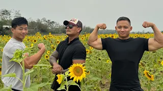 Sunflower 🤣