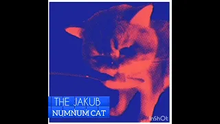 THE JAKUB NUMNUM CAT(made by Kiffness)