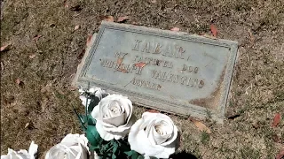 PET CEMETERY to HOLLYWOOD STARS in Los Angeles