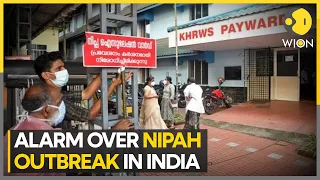 Nipah Outbreak: Kerala Govt Strengthen Measures to stop the Spread of virus | WION Newspoint