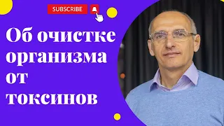 Об очистке организма от токсинов. Торсунов лекции