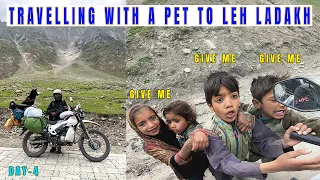 Day 4 - Kids want everything II Travelling with a pet to Leh Ladakh, #Sachpass #Zanskar on bike
