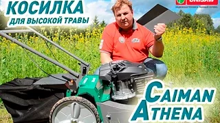 Самоходная бензиновая косилка для высокой травы. Газонокосилка Caiman Athena 60S