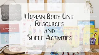 How to Human Body Unit l Featuring The Good and The Beautiful l Resources and Shelf Activities