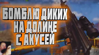 БОМБЛЮ ДИКИХ НА ДОЛИНЕ С АКУСЕЙ В ARENA BREAKOUT!