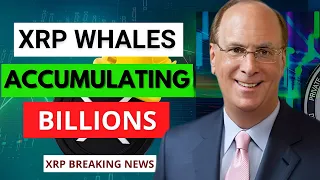 Attention: Major XRP Whales Making Waves! A Must Watch XRP Ripple News!