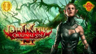 Divinity Original Sin 2 Definitive Edition Прохождение Часть 13 Забытые и проклятые