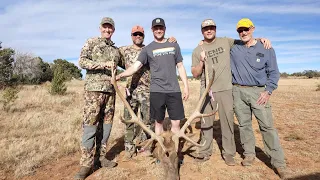 New Mexico Elk Hunt 2021