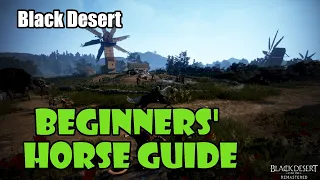 [Black Desert] Beginners' Horse Guide | Buying, Taming, Gearing, Best Skills, How to Get