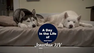 A Day in the Life of UConn's Mascot Jonathan XIV | UConn