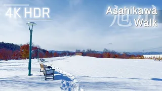 Sunny City Walk on Fresh Snow in Asahikawa, Hokkaido, Japan | 4K HDR