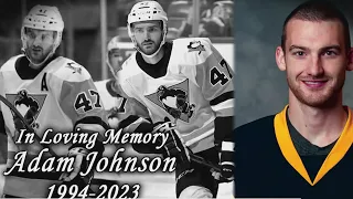 Local hockey community, Hershey Bears, reacts to tragic death of Adam Johnson