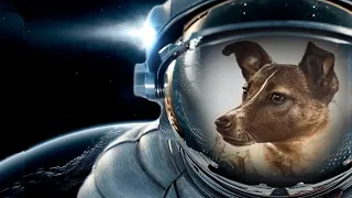 What Happened to Laika in Space? क्या हुआ था लाईका के साथ अंतरिक्ष में? #SpaceDog