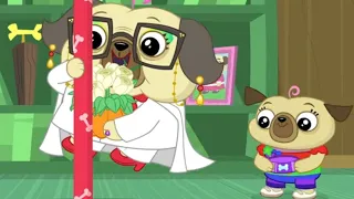 Grandma and Gordie's Big Puggy Wedding | Chip and Potato | Cartoons for Kids | WildBrain Zoo