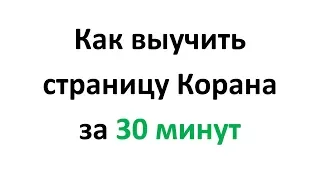 Как выучить страницу Корана за 30 минут