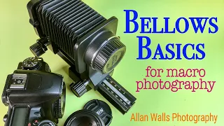Bellows Basics for Macro Photography