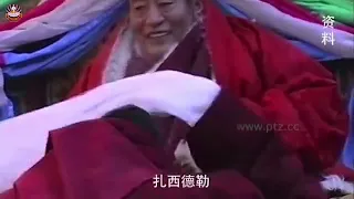 传妙法  在法王座下闻思修的日子