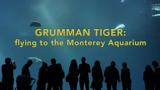 Grumman Tiger: Flying to the Monterey Aquarium/ ELT alarm possible missing airplane