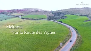 Reportage: Meknès, sur la Route des Vignes