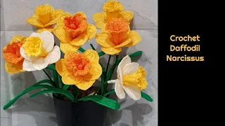 How to crochet Daffodil | Narcissus Flower