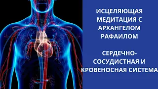 Исцеляющая медитация с Архангелом Рафаилом. Сердечно-сосудистая и кровеносная система