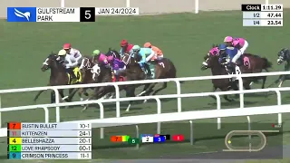 Gulfstream Park Carrera 5 - 24 de Enero 2024