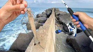 Fishing SKETCHY JETTY w/ BIG SHRIMP!! (Saltwater Fishing)