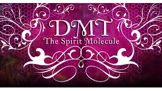 DMT: The Spirit Molecule (2010) [multi subs]