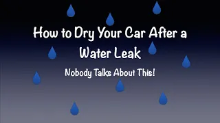 How to Dry Your Car After a Water Leak, Nobody Talks About This!