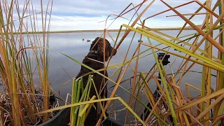 Pete’s Longest Duck Hunt So Far!