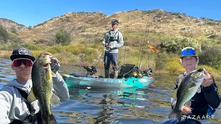 LOTS of Bass CHASING BIG SCHOOLS OF SHAD // Lots of FISH