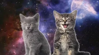 [10 часов] Space Cats - Magic Fly by Enjoyker