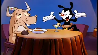 Animaniacs (1993) - Intro (Albanian, Studio ONIX, Undubbed) FAKE