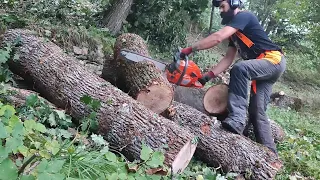 Chainsaw Husqvarna 372xp _ Bucking Oak Logs For Firewood _ AXEHOLE LOGGER 💪