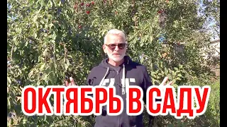 Садовые работы в октябре ПЕРЕЗАЛИВ / Игорь Билевич