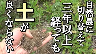 【自然農】何年待っても「良くならない土」その原因は？2023年11月27日【natural farming】