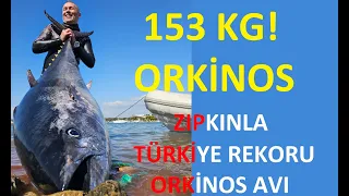 153 KG!!!! TÜRKİYE REKORU ZIPKINLA ORKİNOS AVLARI