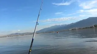 Float-Tube Fishing - Lindon Boat Harbor